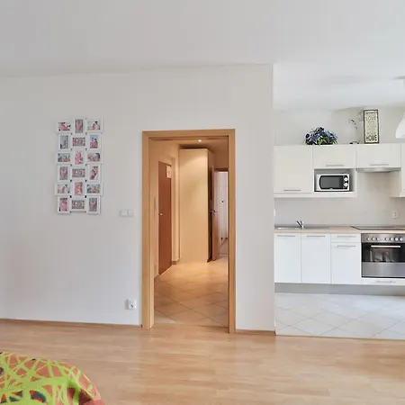Bright Spacious Apartment *